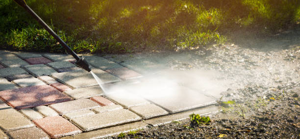 Animal Enclosure Cleaning in Thornville, OH